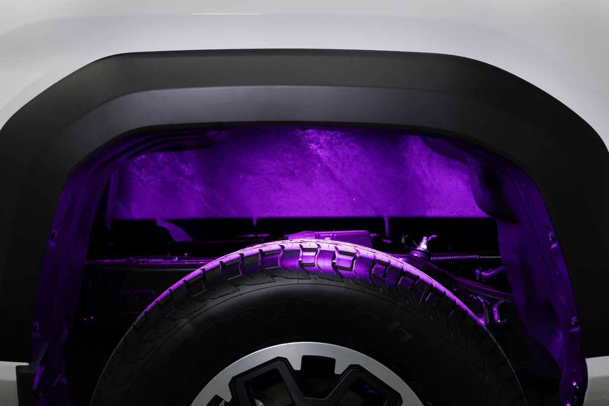 Diode Dynamics Rock Light Installer Kit RGBW (8-pack)