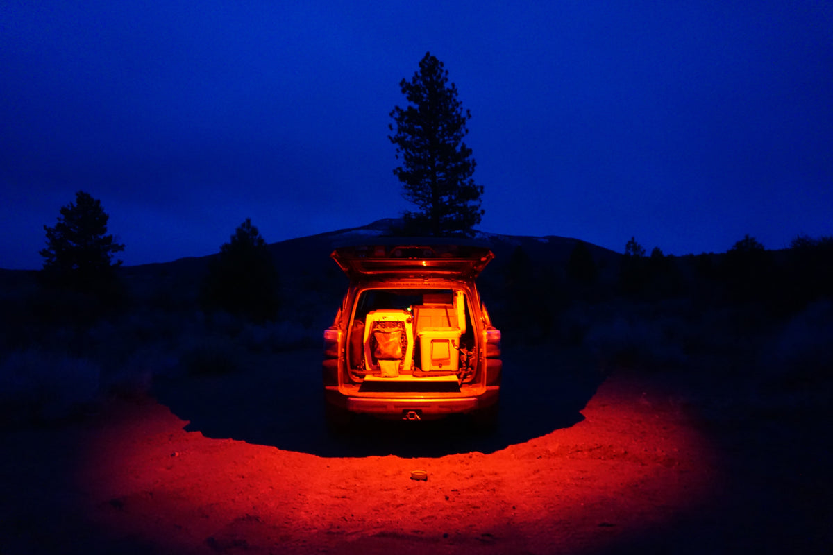 Baja Designs LED Dome Light w/Switch