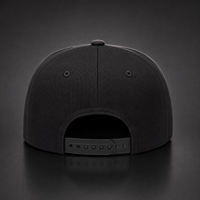 The '76 Snapback