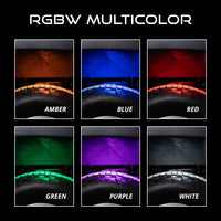 Diode Dynamics Stage Series LED Rock Light RGBW (add-on 2-pack)