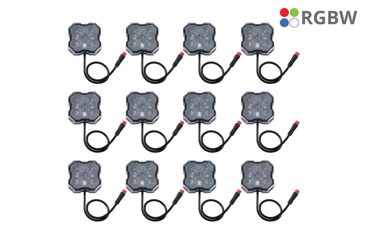 Diode Dynamics Rock Light Installer Magnet Mount Kit RGBW (12-pack)