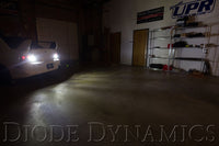 Diode Dynamics 7443 XPR LED Cool White (Pair)